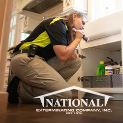 National Exterminating Company Inc Picture 9