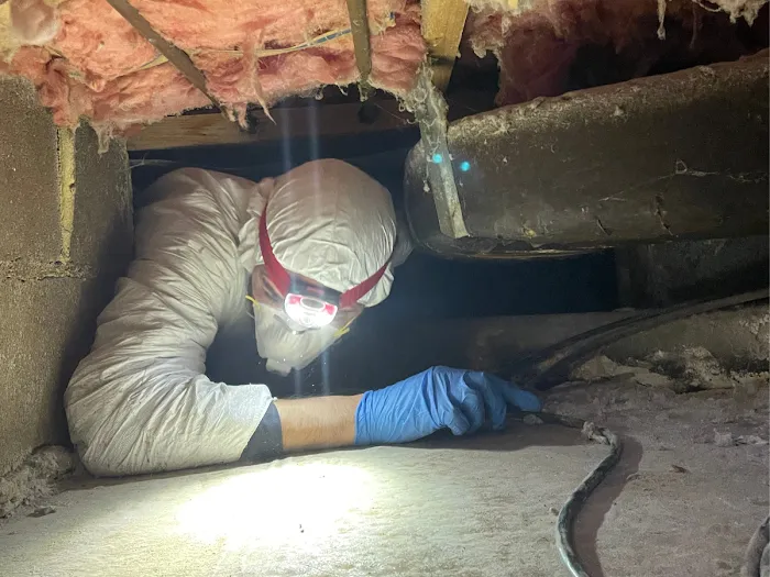 Colonial Exterminating Co Inc Picture 3