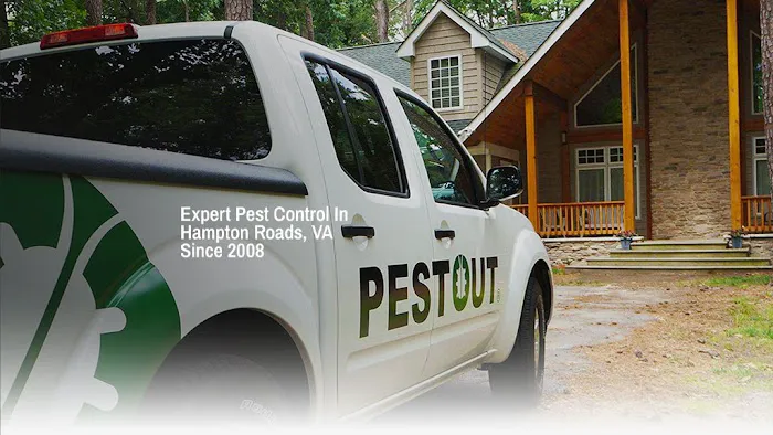 PESTOUT Picture 5