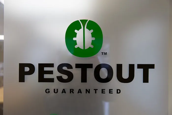 PESTOUT Picture 4