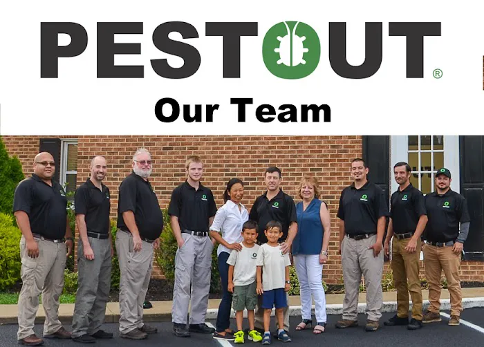 PESTOUT Picture 7