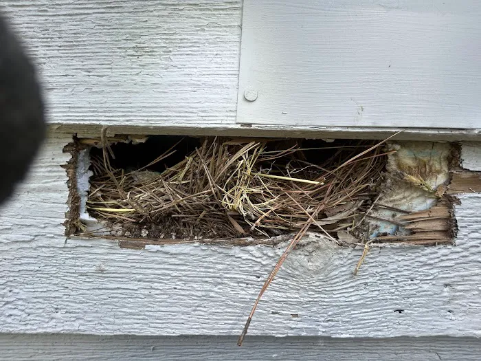 TYGR Wildlife LLC Picture 9