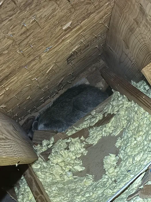 TYGR Wildlife LLC Picture 5