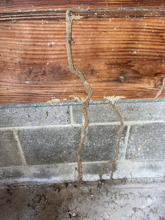 GLOBAL GREEN TERMITE & PEST CONTROL , LLC Picture 10