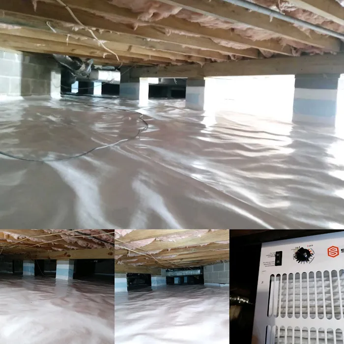 GLOBAL GREEN TERMITE & PEST CONTROL , LLC Picture 7