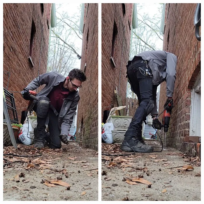 Optimal Termite & Pest Control Picture 6