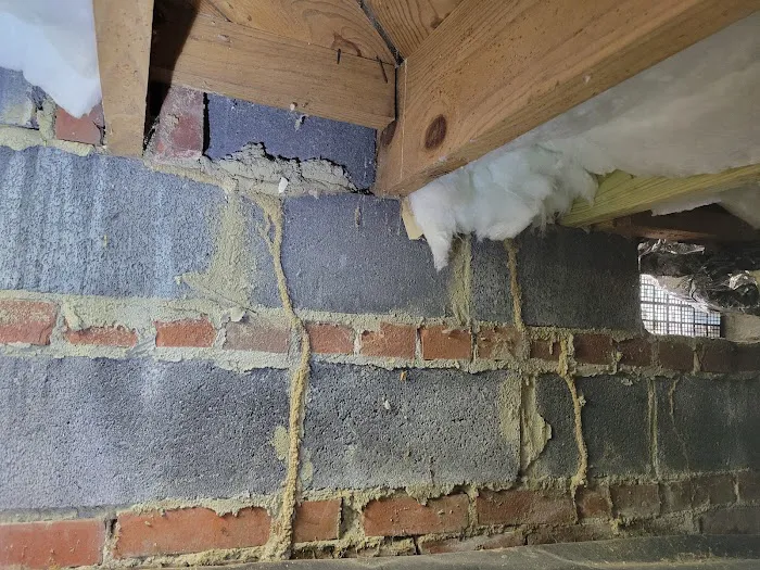 Optimal Termite & Pest Control Picture 9
