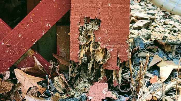 Optimal Termite & Pest Control Picture 8