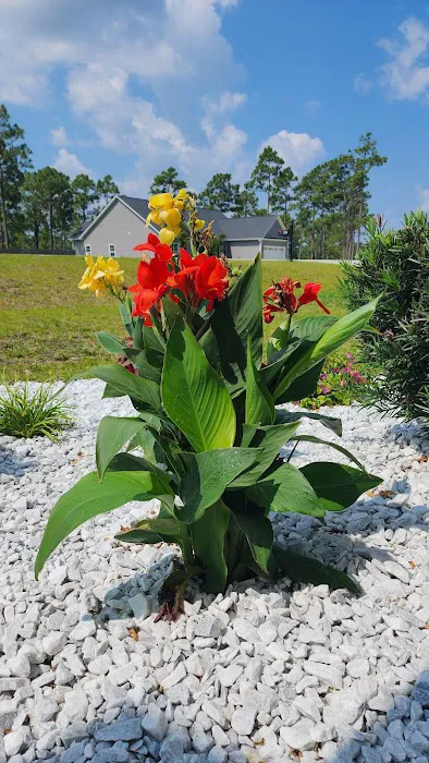 Solve Pest Pros Picture 4