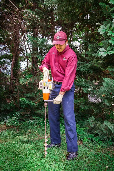 Pest Solutions, Inc. Picture 9