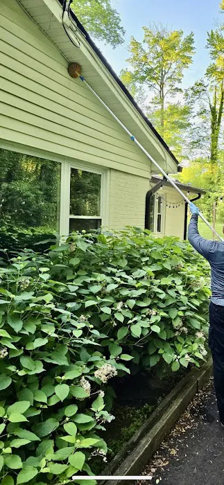 YourTurn Pest Solutions LLC Picture 1
