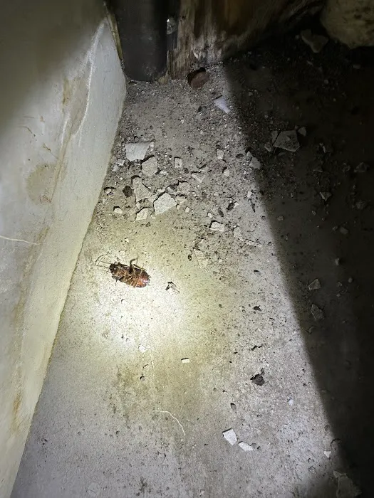 YourTurn Pest Solutions LLC Picture 2