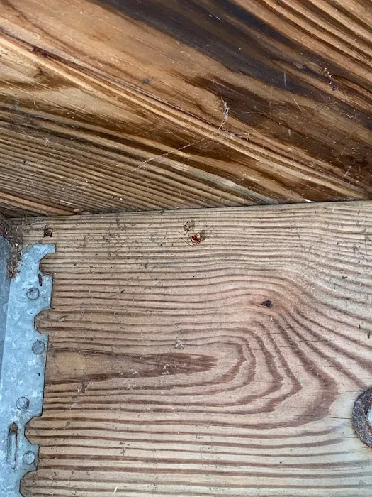 ClearDefense Pest Control Picture 3