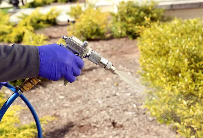 ClearDefense Pest Control Picture 10