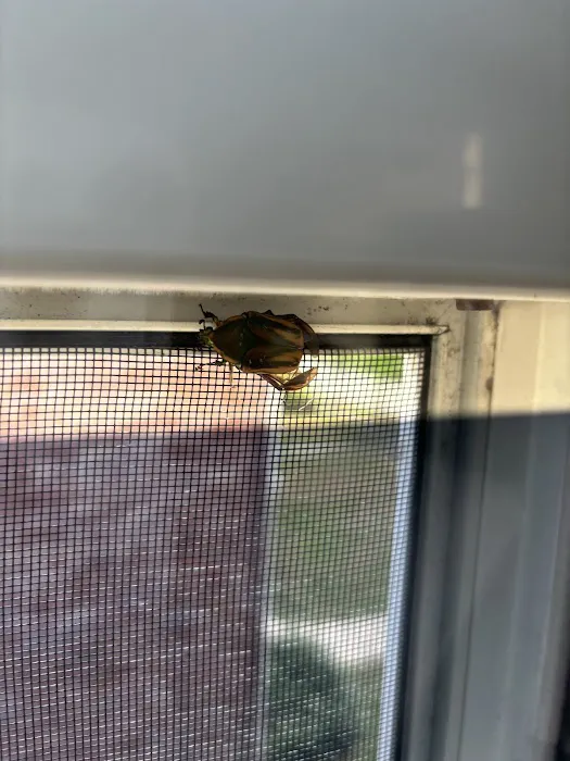 Green Pest Services Picture 6