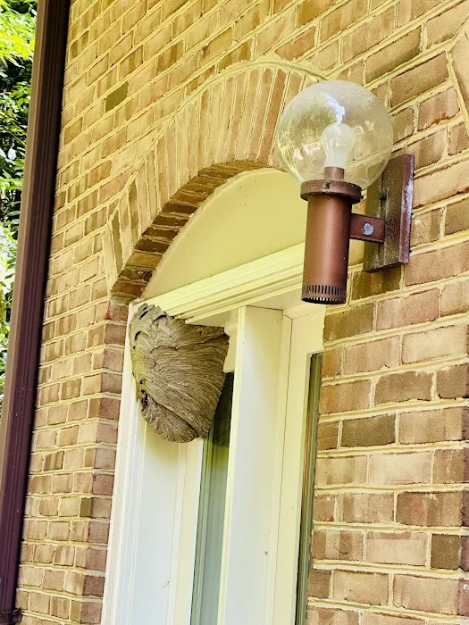 Green Pest Services Picture 3