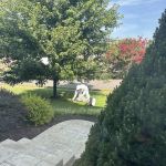 My Pest Pros