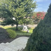 My Pest Pros ico