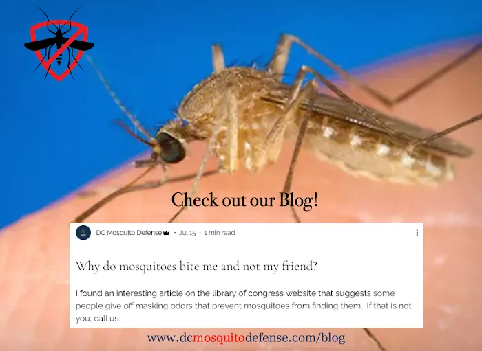 DC Mosquito Defense Picture 8
