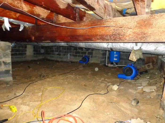 Serviclean Inc Picture 10