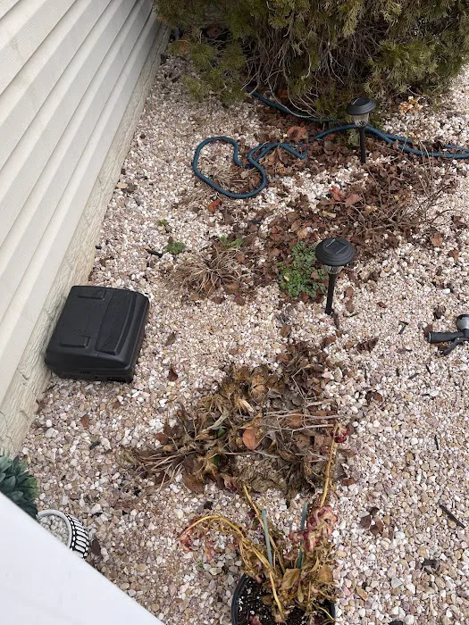 Frontline Pest and Termite of Manassas Picture 1