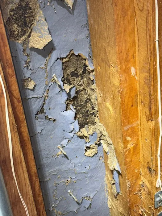 Viewpoint Pest Management Solutions, Inc. Picture 4