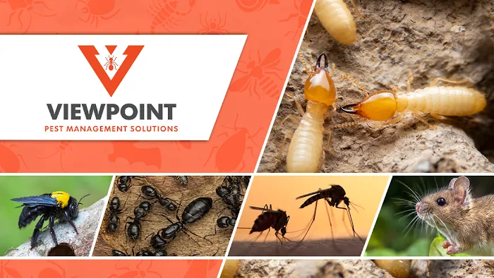 Viewpoint Pest Management Solutions, Inc. Picture 3