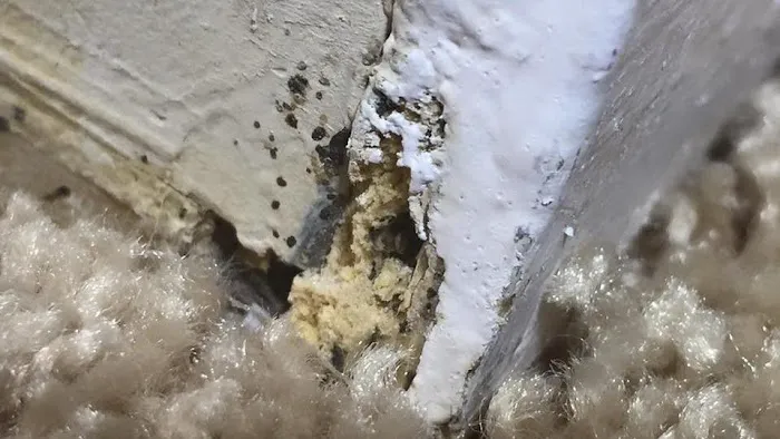 Viewpoint Pest Management Solutions, Inc. Picture 5