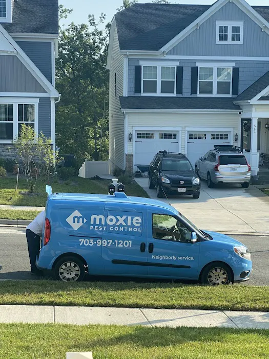 Moxie Pest Control Picture 3