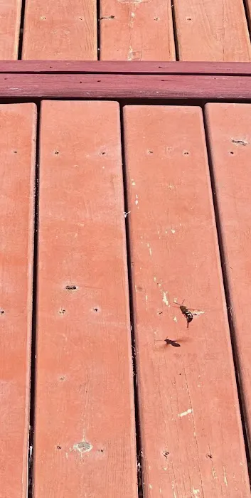Moxie Pest Control Picture 5