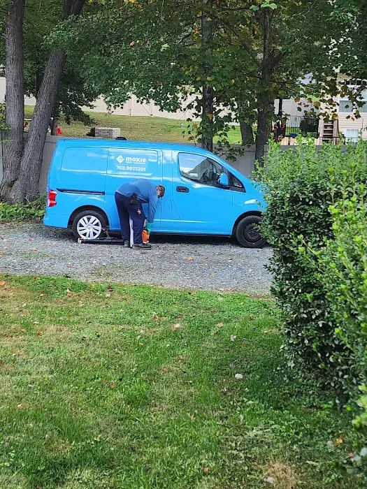 Moxie Pest Control Picture 2