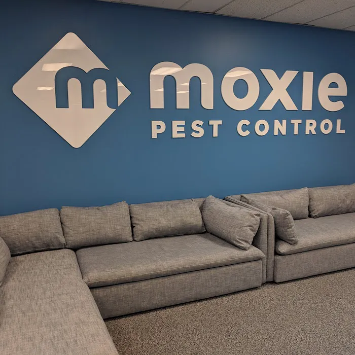 Moxie Pest Control Picture 8
