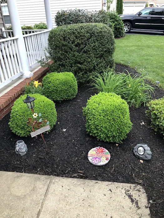 Moxie Pest Control Picture 7