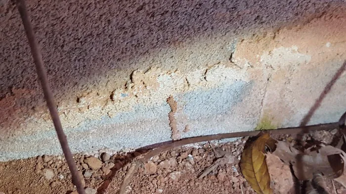 Go-Forth Pest Control Picture 1
