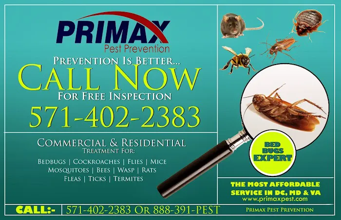 Primax Pest Control Picture 2