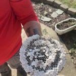 Frontline Pest and Termite of Fredericksburg
