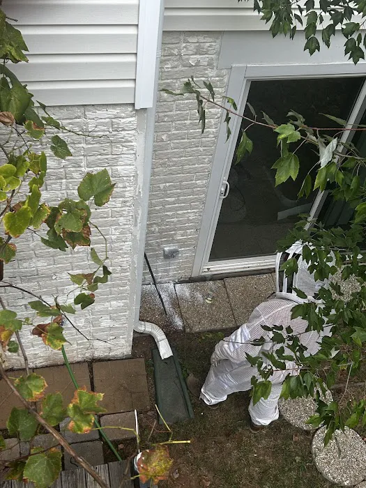 Frontline Pest and Termite of Fredericksburg Picture 10
