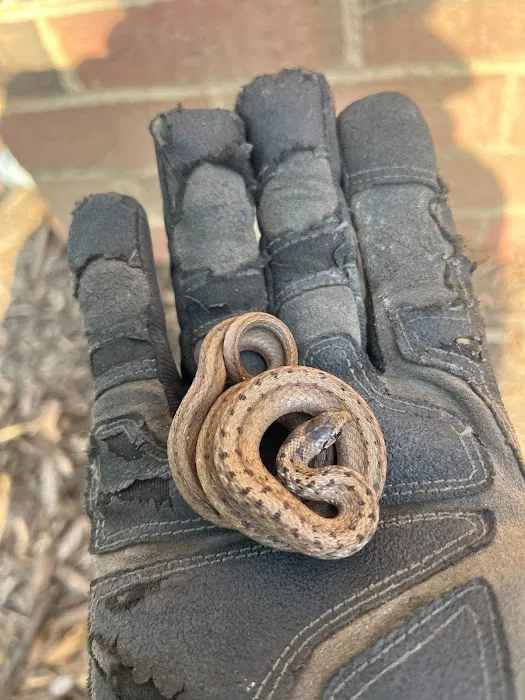 Summit Pest Control Picture 10