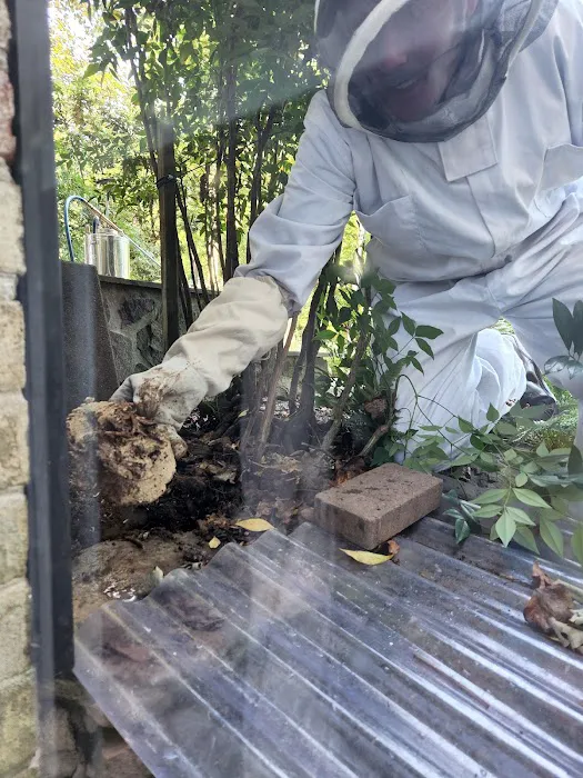 My Pest Pros Picture 6