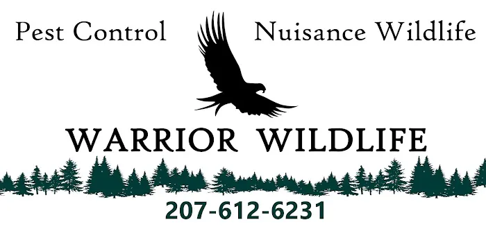 Warrior Wildlife Picture 6