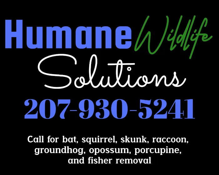 Humane Wildlife Solutions Picture 1