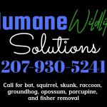 Humane Wildlife Solutions