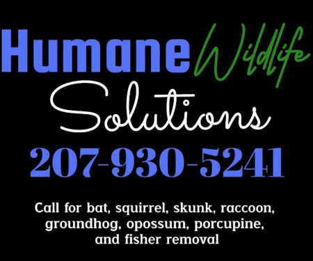 Humane Wildlife Solutions
