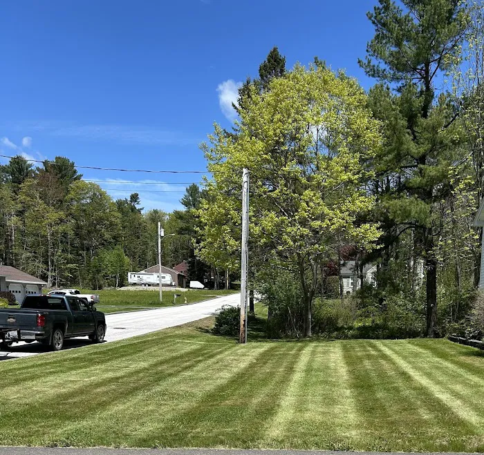 Greenleaf Lawn & Pest Solutions, LLC Picture 2