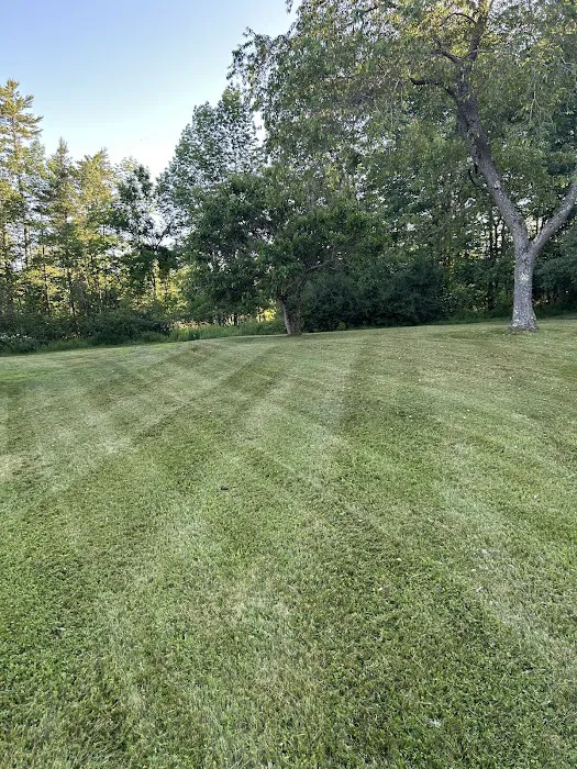 Greenleaf Lawn & Pest Solutions, LLC Picture 1