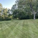 Greenleaf Lawn & Pest Solutions, LLC