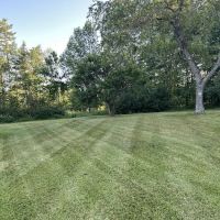 Greenleaf Lawn & Pest Solutions, LLC ico