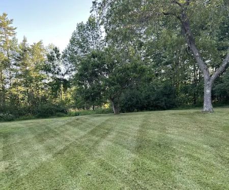 Greenleaf Lawn & Pest Solutions, LLC