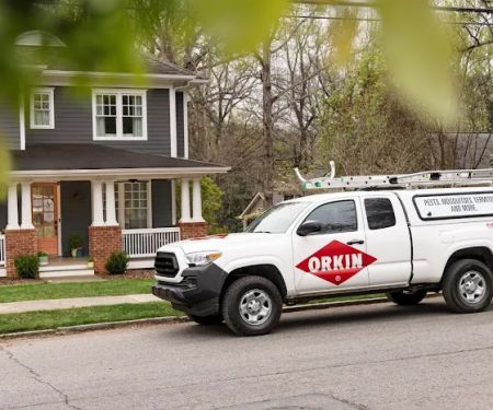 Orkin