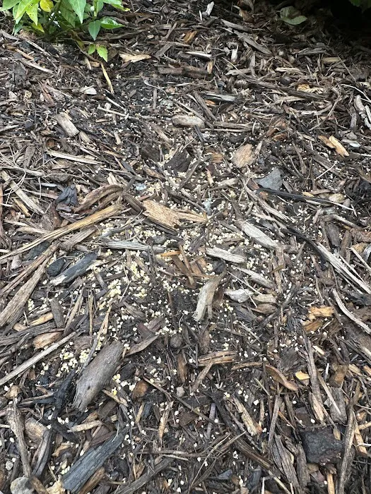 Moxie Pest Control Picture 6
